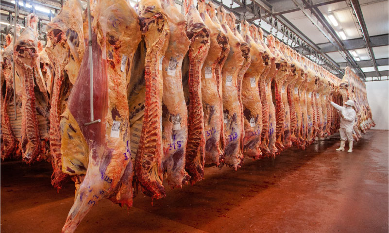 Imagen Si afloja China, Argentina registraría fuerte caída en sus ingresos por exportaciones de carne en 2024