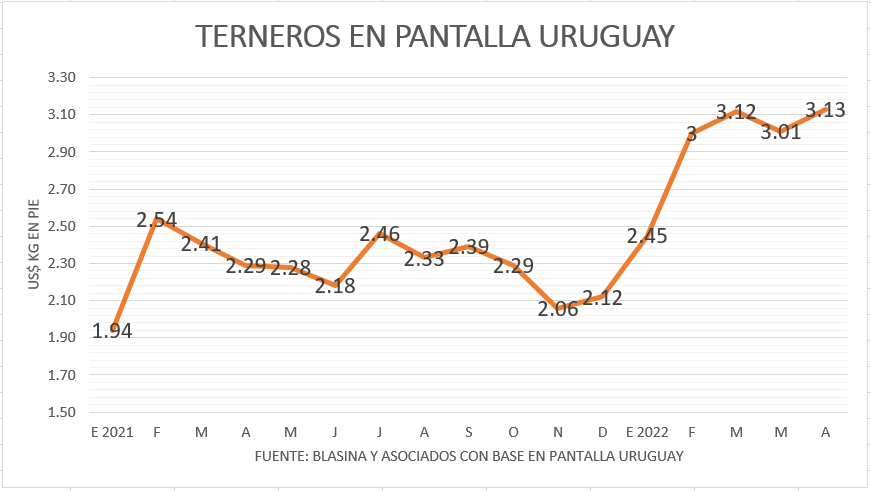 Terneros promediaron US$ 3,13 al contado en Pantalla Uruguay