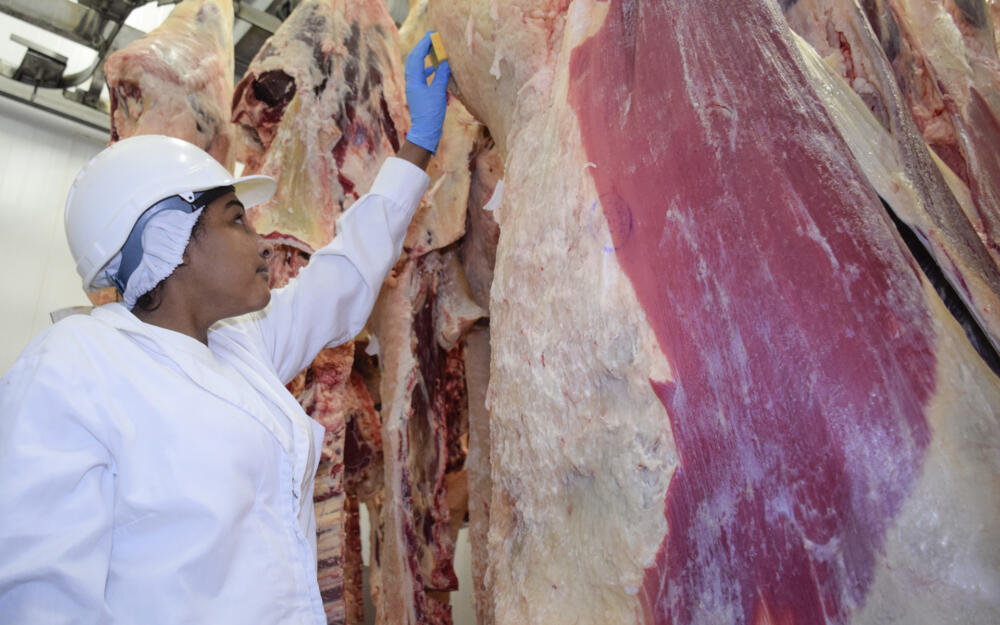 Segundo semestre con más faena y valorización de la hacienda proyecta Álvaro Ferrés