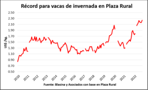 Se afirma el mercado de reposición con nuevos récords en Plaza Rural