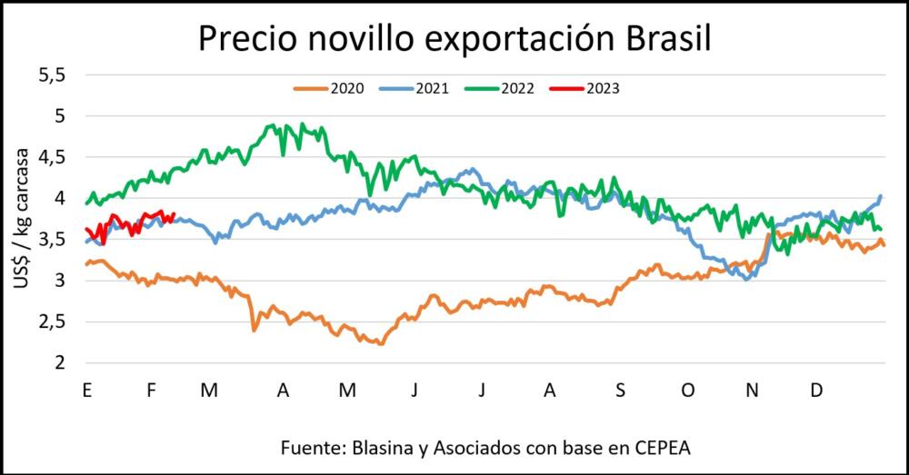 wha-negocios-rurales-se-afirma-el-precio-del-ganado-de-exportaci-n