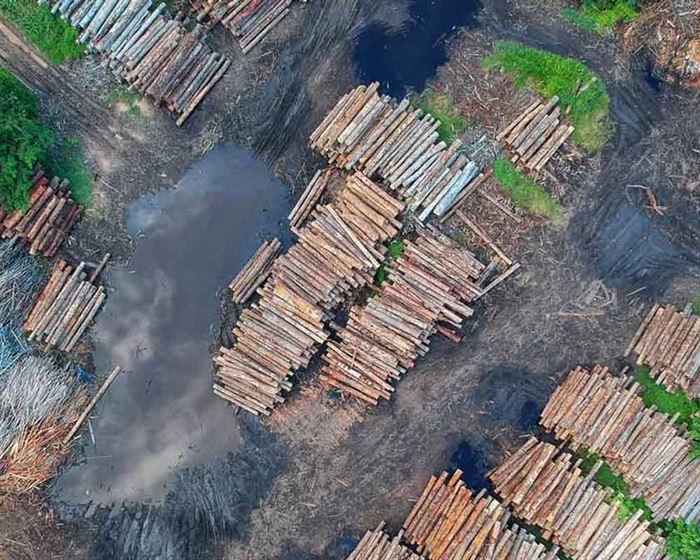 Bancos de Brasil negarán créditos a frigoríficos vinculados a deforestación de la Amazonia