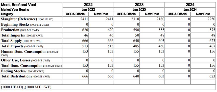 Más faena, más producción, más exportaciones. Esto proyecta el USDA para la ganadería uruguaya en 2024