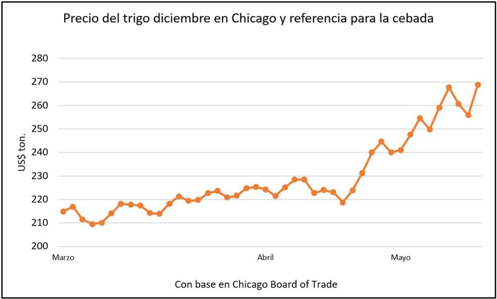 El precio del trigo tuvo su mayor suba diaria en 10 meses