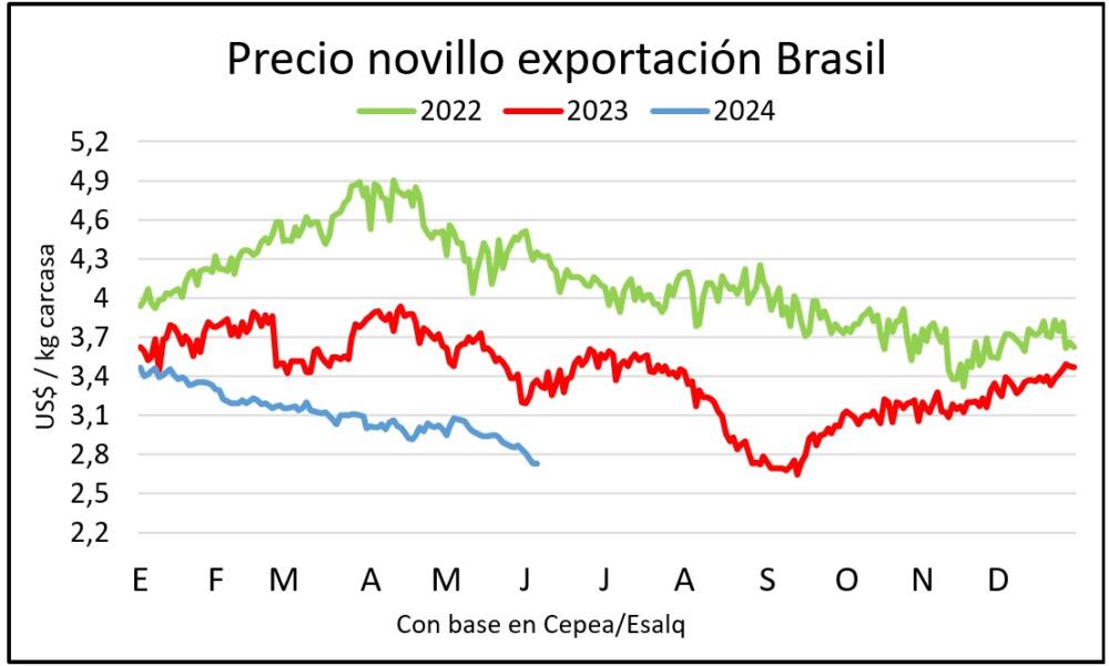 Se acentúa la caída del precio del ganado gordo en Brasil