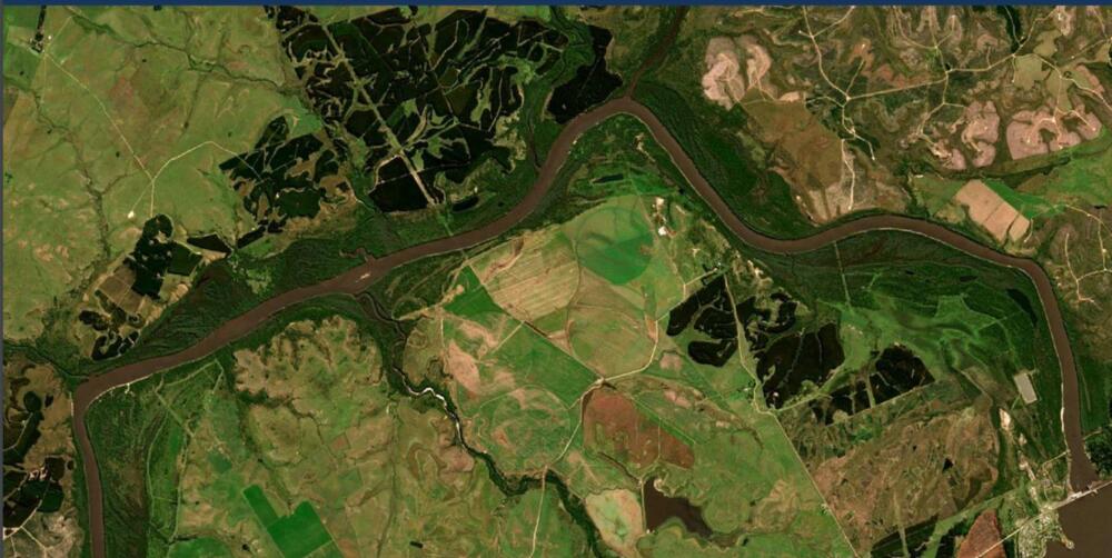 Será gratuita para los productores la plataforma uruguaya de certificación libre de deforestación