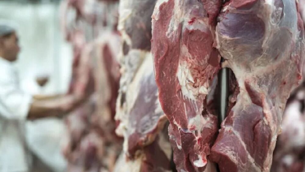 Exportaciones de carne vacuna de Paraguay crecieron 2% en el primer semestre