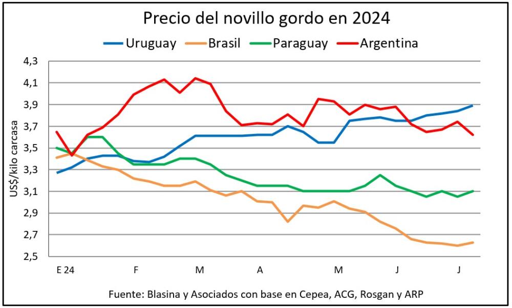 Novillo en Uruguay: de ser el más barato al más caro de la región en seis meses