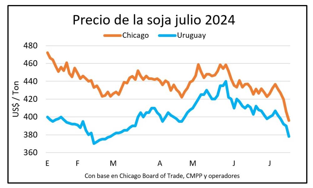 Se derrumba el precio la soja y en Uruguay quedan más de un millón de toneladas sin vender