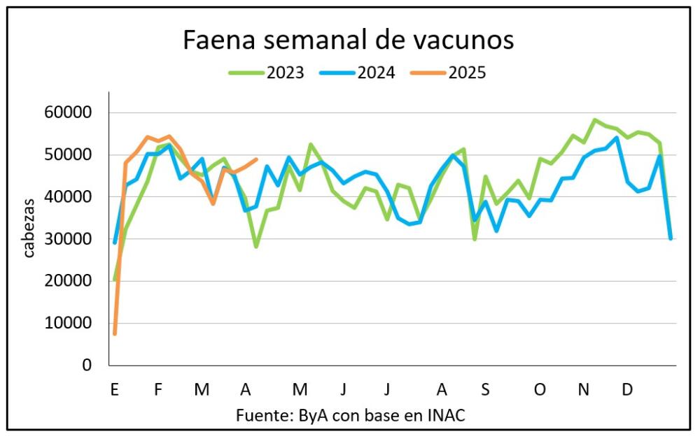 Novillos empujan la faena vacuna que en marzo creció 5,4%