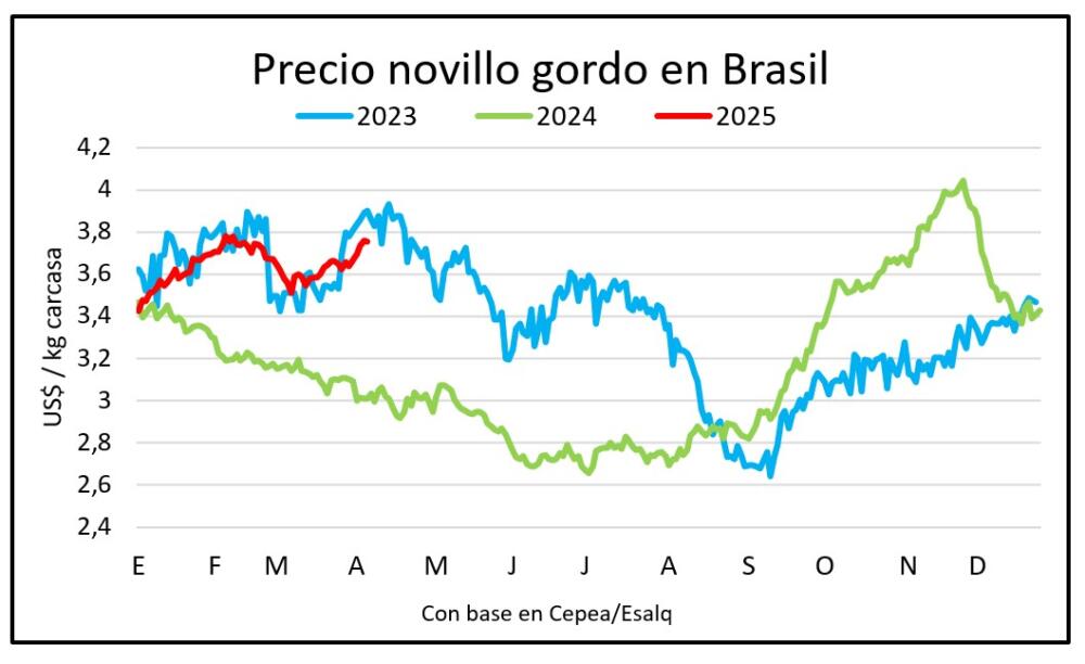 Novillo gordo en Brasil trepa a US$ 3,75 y los futuros de setiembre a US$ 3,95