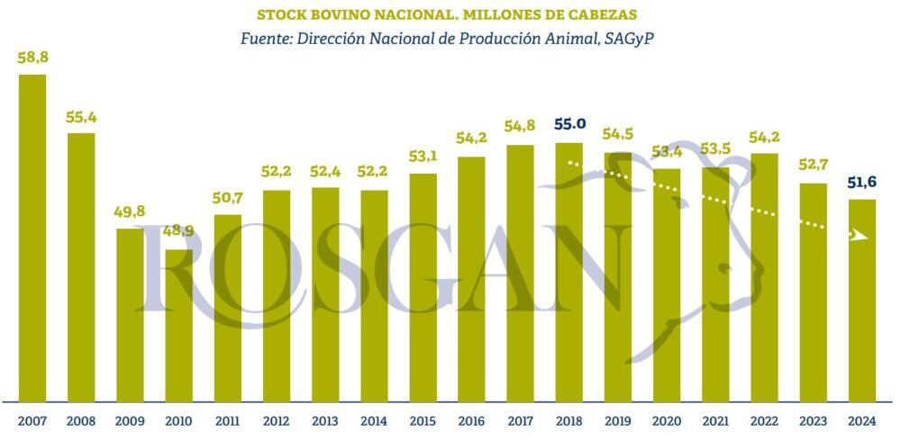 Argentina perdió 1,16 millones de vacunos en 2024