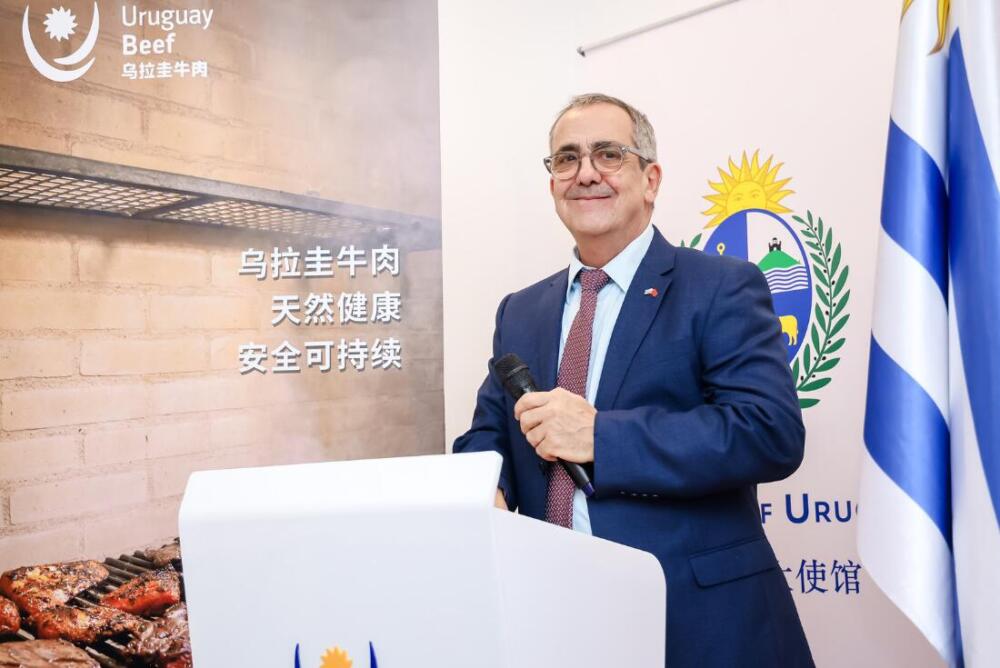 Investigación sobre importación de carne vacuna: primeras impresiones positivas tras presentación de Uruguay en China