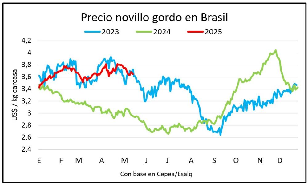 Ajustó 3,5% el novillo en Brasil en un mes