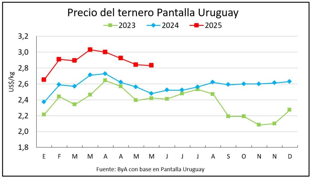 Pantalla Uruguay: los terneros encuentran equilibrio