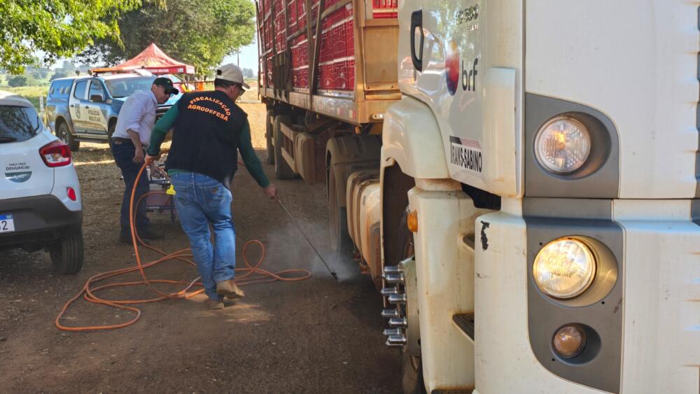 BRF sacrifica 74 mil pollos por nuevos casos de gripe aviar en Brasil
