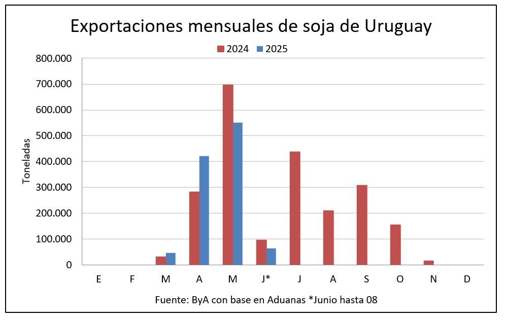 Comienza a destrabarse el flujo exportador de soja