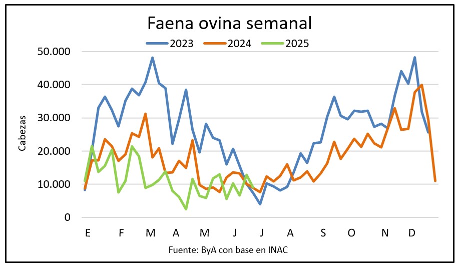 Faena ovina sigue baja