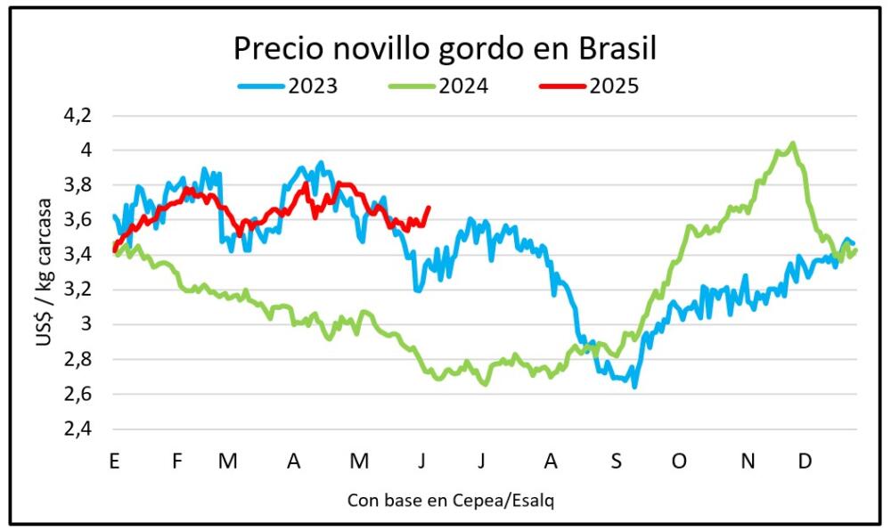 Salto en el precio del novillo en Brasil