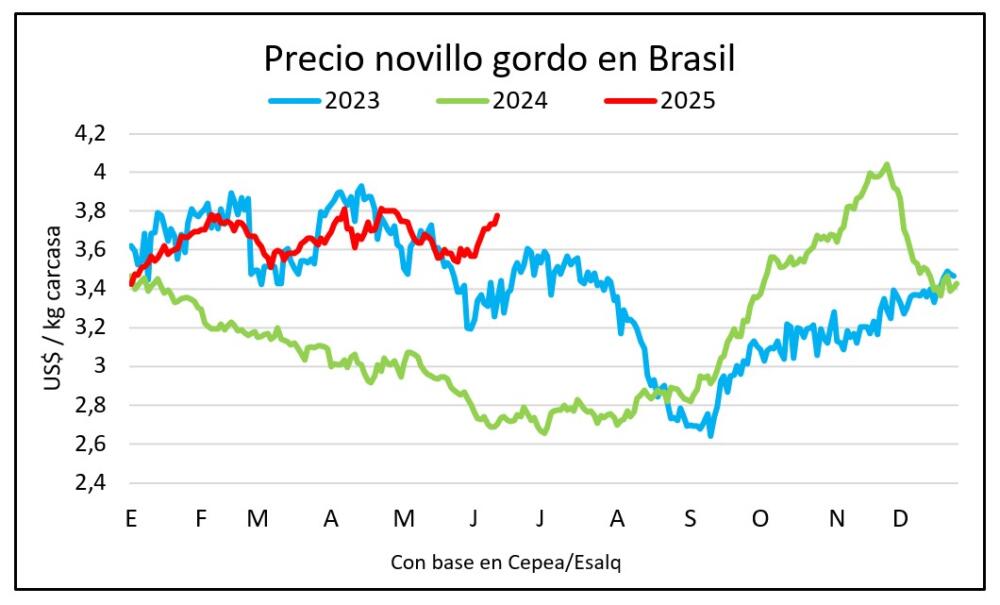 El novillo en Brasil alcanza su mayor precio en tres años para la época