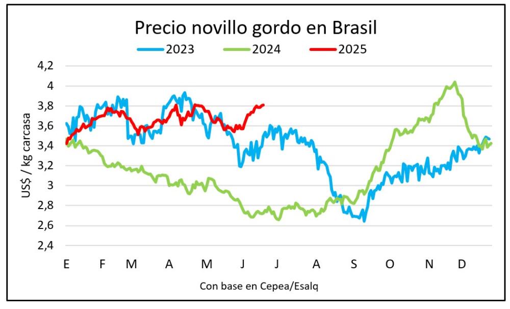 Se afirman las perspectivas favorables para el gordo en Brasil
