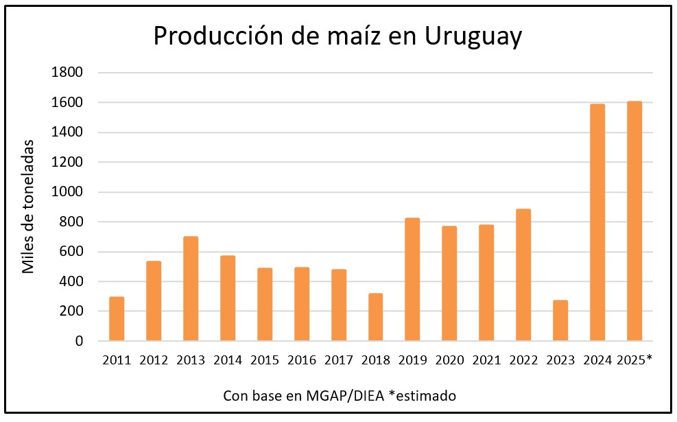 La cosecha de maíz podría marcar un récord de producción