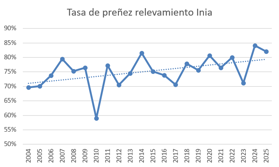 Se producen más terneros ¿cuánto incidirá en la industria?