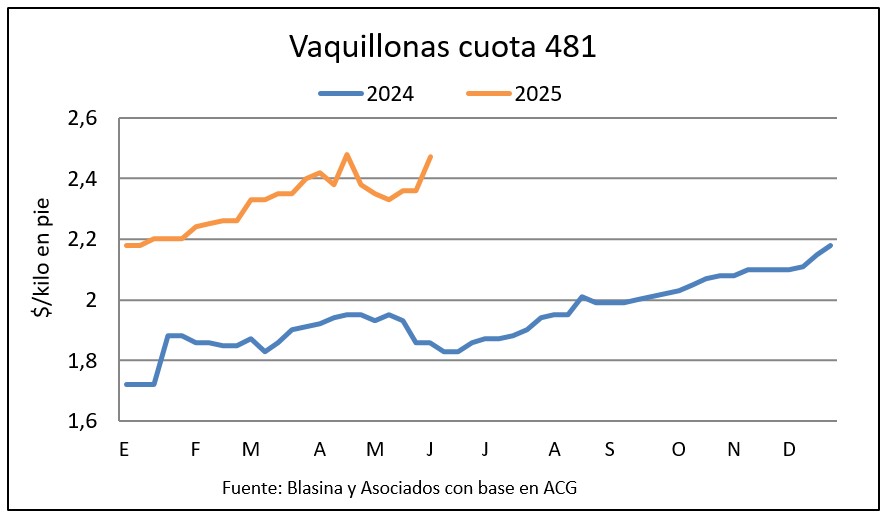Precios en alza por vaquillonas para todos los mercados