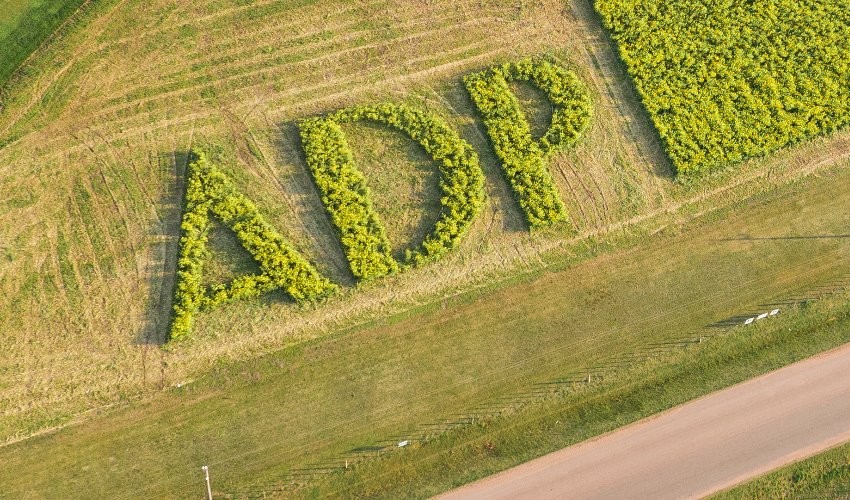ADP adquiere el negocio agrícola ganadero de Pérez Companc en Uruguay