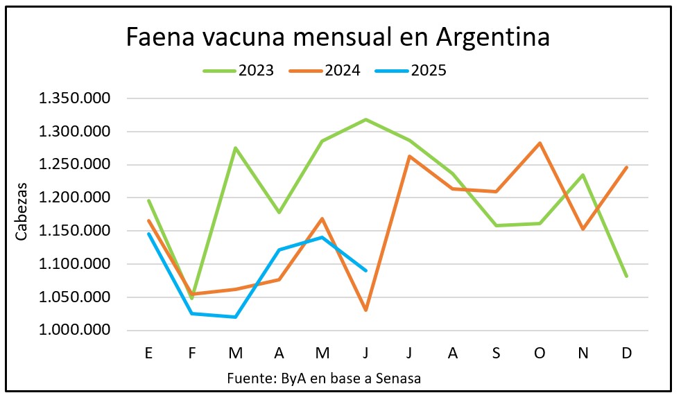 Faena vacuna crece 2,3% en Argentina en junio