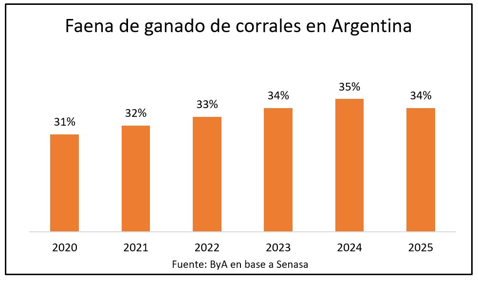 En Argentina los corrales aportan el 34% de los vacunos faenados