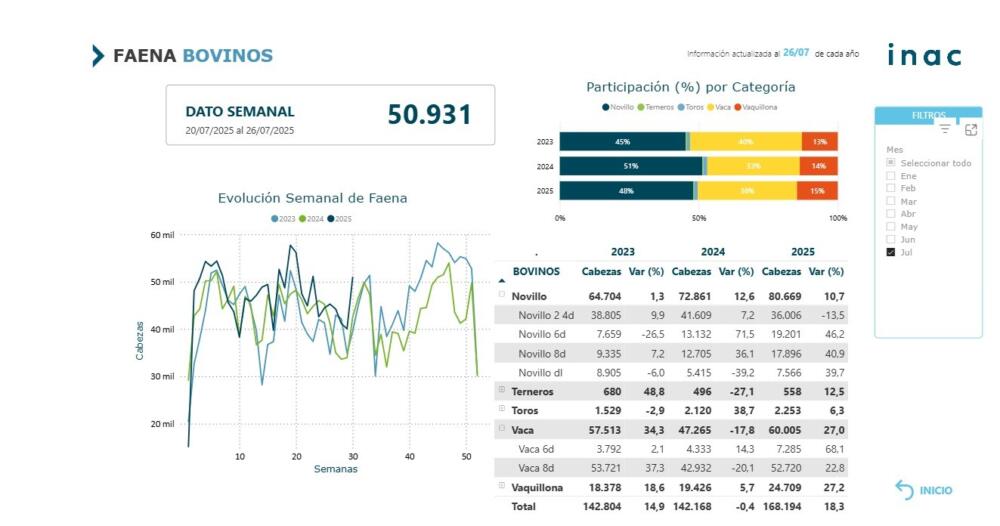 Se afirma la faena vacuna: julio va hacia las 200.000 mil cabezas