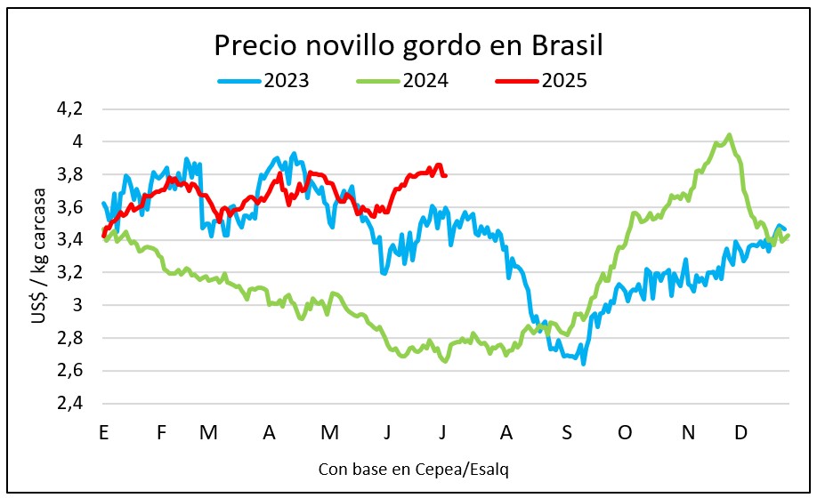Novillo en Brasil subió 7% en junio y se estabiliza sobre US$ 3,80
