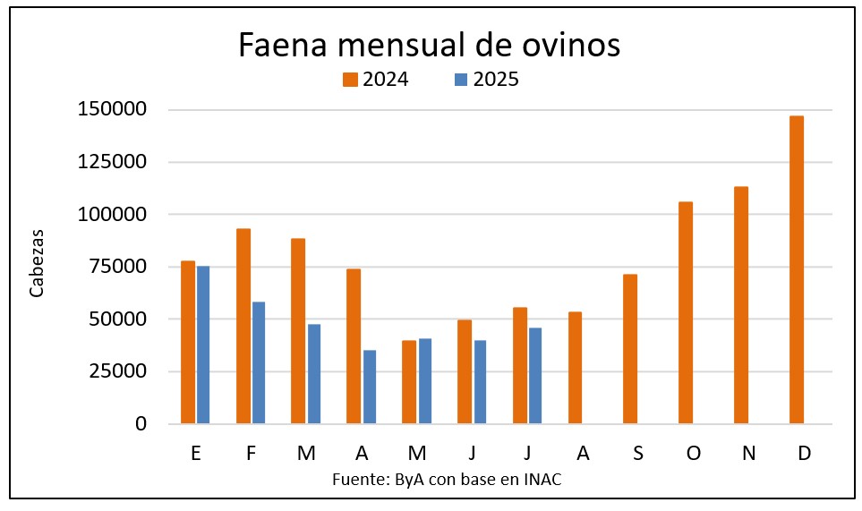 Faena de ovinos bajó 17% en julio