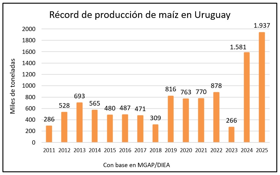 Récord de producción de maíz; casi 2 millones de toneladas