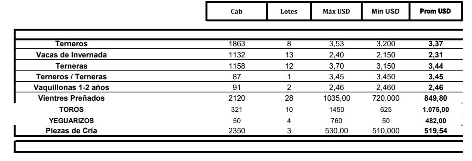 Remate de Conexión Ganadera aprovechó el momento de la reposición
