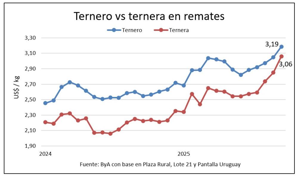 Daniel Dutra y la zafra de toros: “va a haber más entore de lo normal”