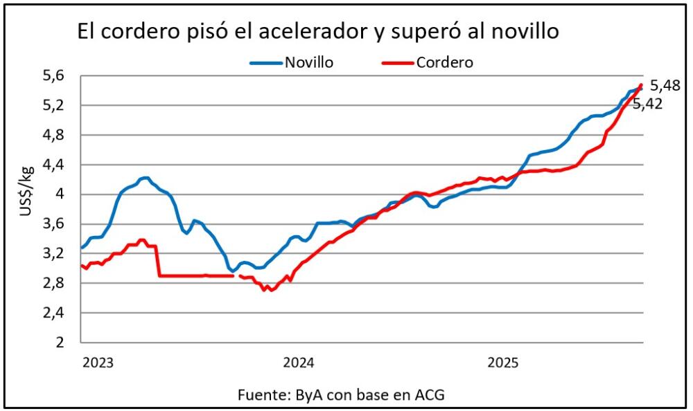 El precio del novillo encontró un tope, el cordero sigue subiendo y lo pasa