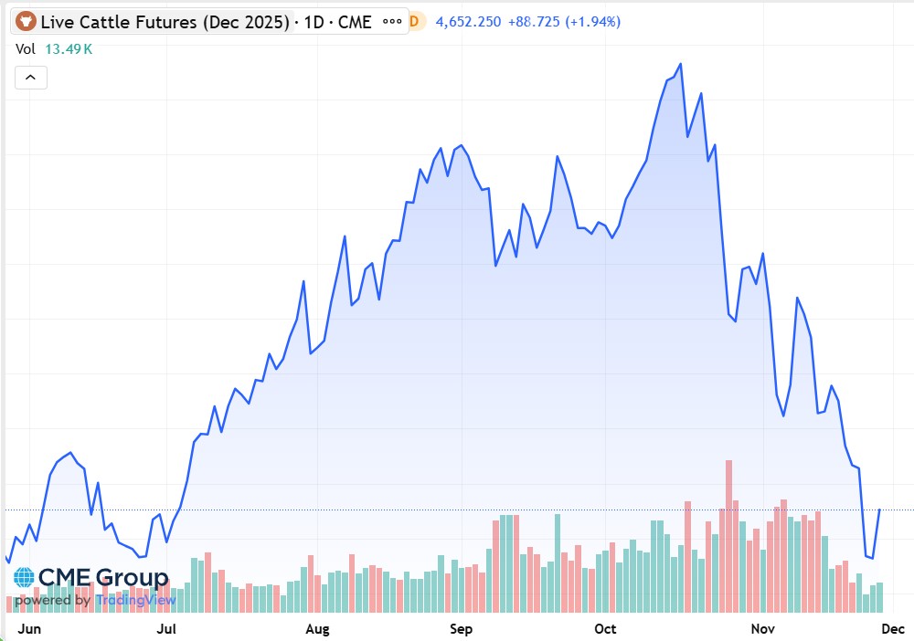 Mínimos desde junio para el novillo en EEUU