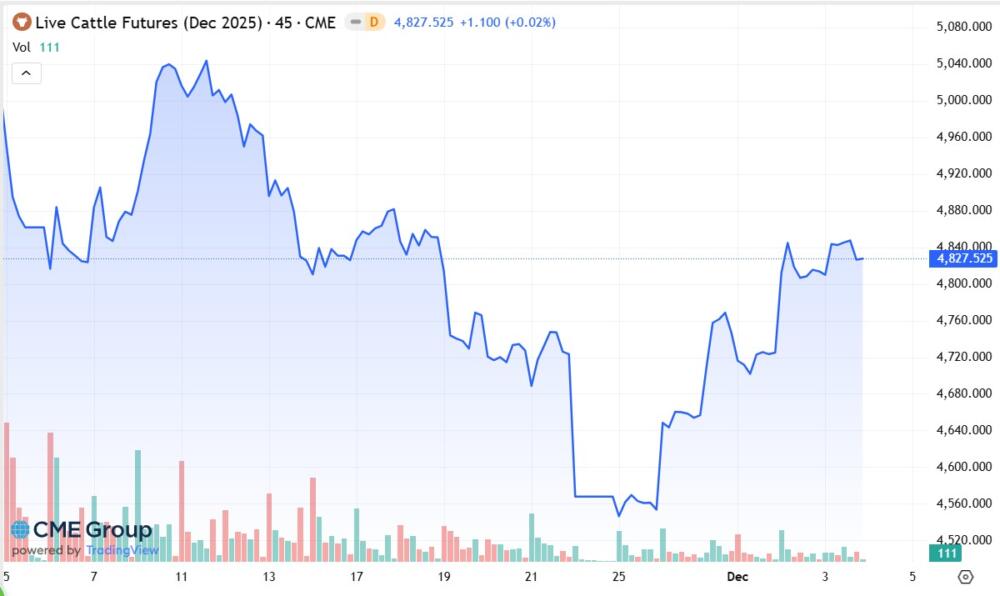 Repunte semanal de 6% para el novillo en EEUU