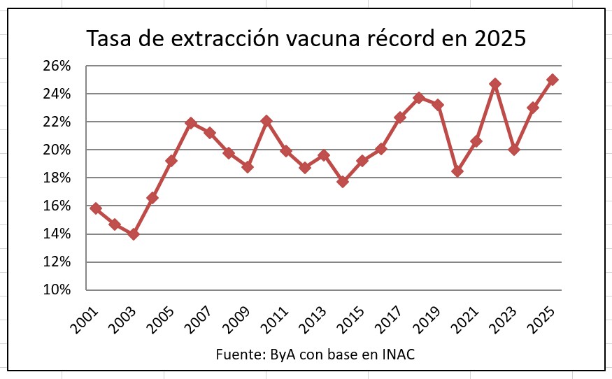 Tasa de extracción vacuna fue récord en 2025
