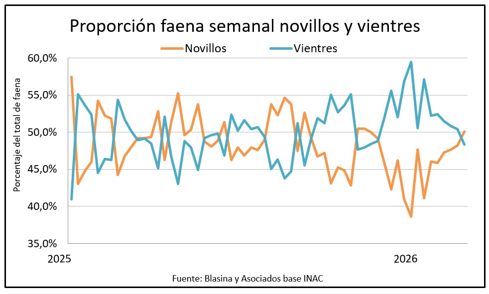 Efecto corral: se faenaron más novillos que vientres por primera vez en 15 semanas