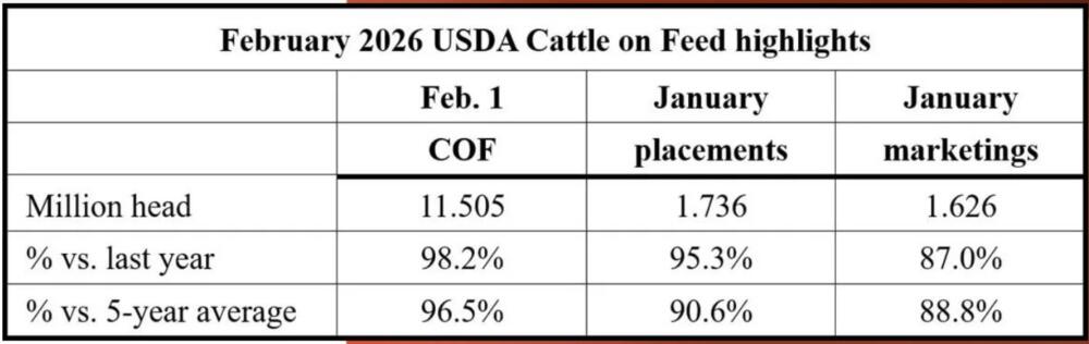 En EEUU el ingreso de ganado a corrales cayó 5% y fue el más bajo desde 2007