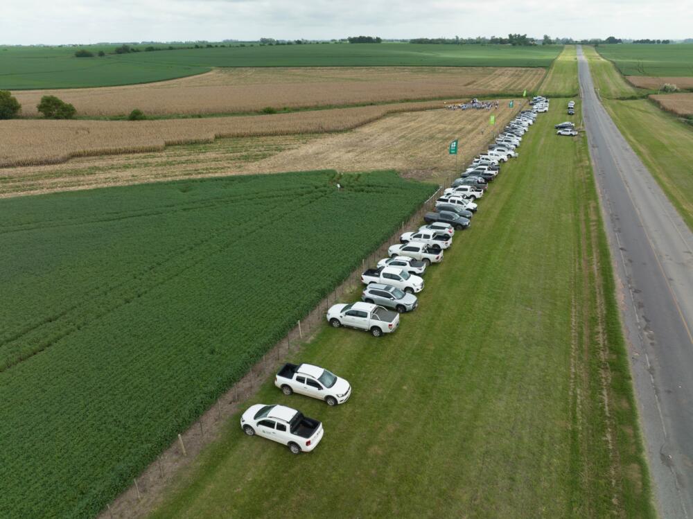 “Ver para crecer”: investigación, genética y manejo en un año desafiante