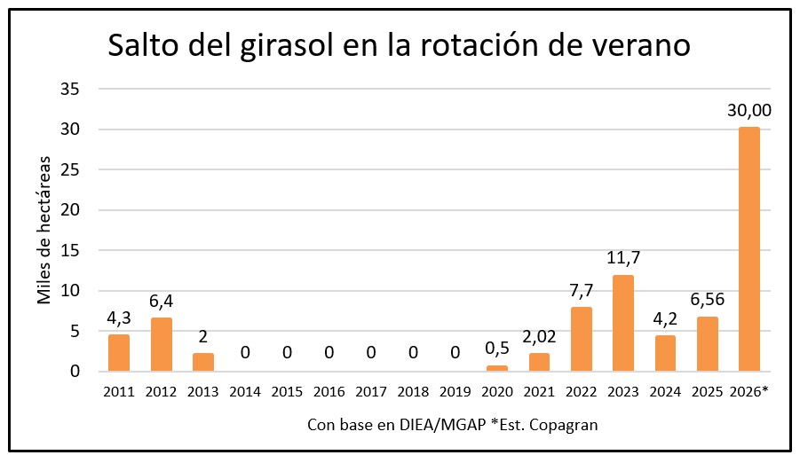 El cultivo de mejor margen inaugura la cosecha de verano