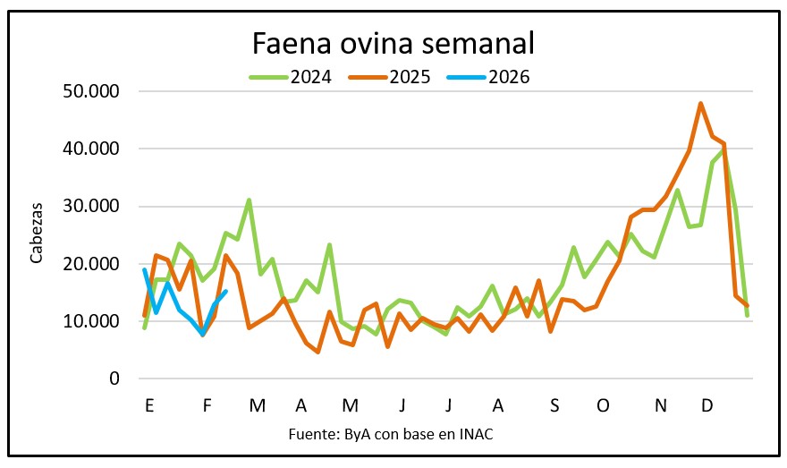 Volvió a subir la faena ovina semanal, en febrero fue la más baja en ocho meses