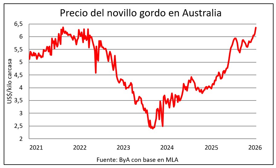 Novillo en Australia sube a máximos desde 2021