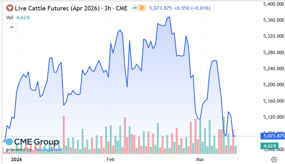 Precio del novillo en EEUU se recupera luego de tocar mínimos de 2026