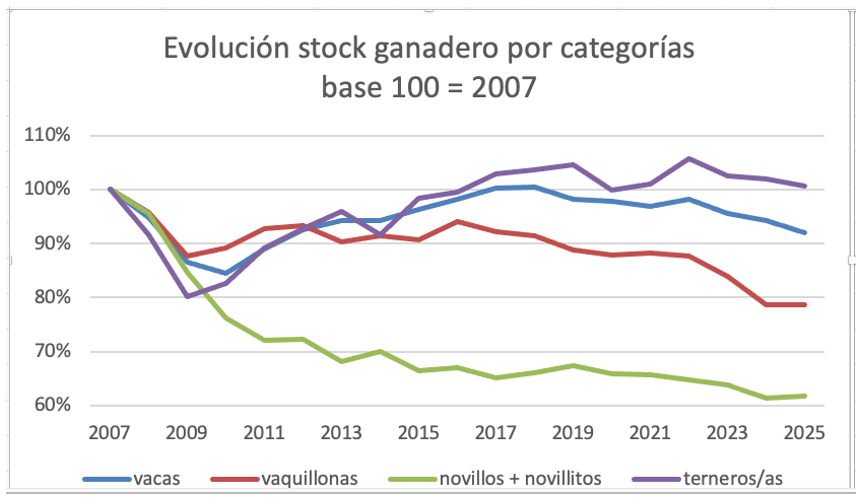 Stock de novillos baja 55% en Argentina desde 2007