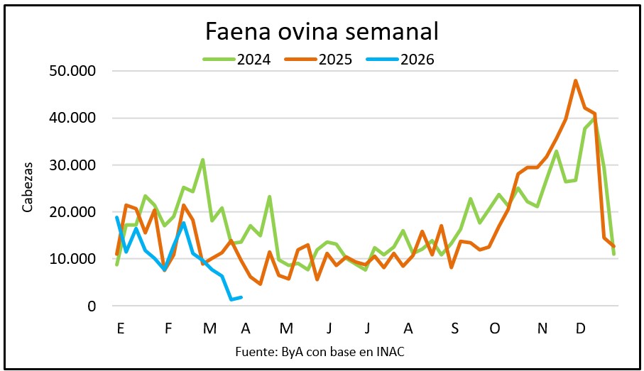 Inédito: segunda semana con menos de 2.000 ovinos faenados